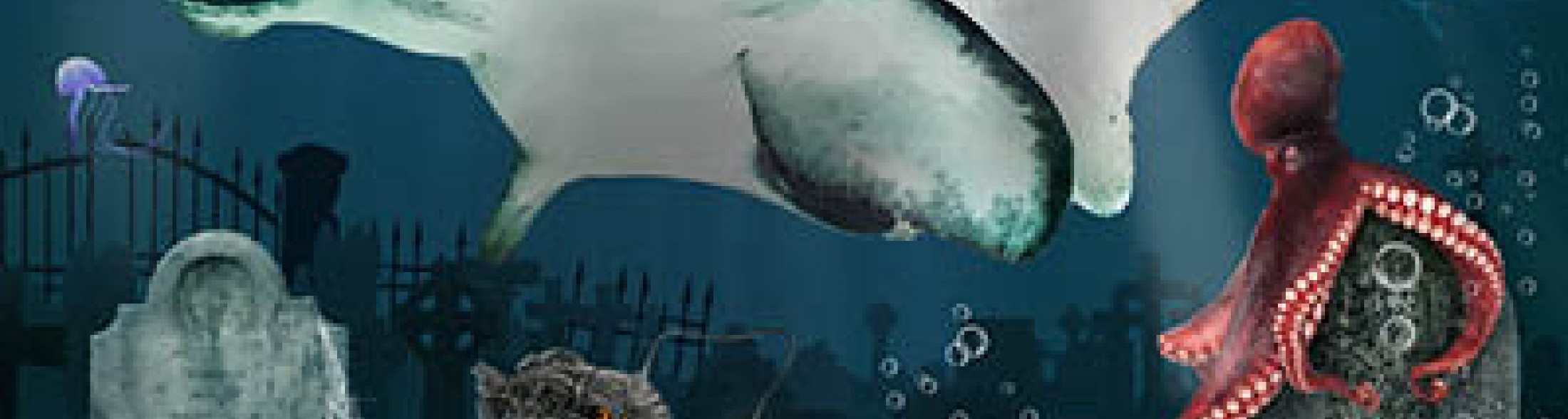 Un Acquario da Paura