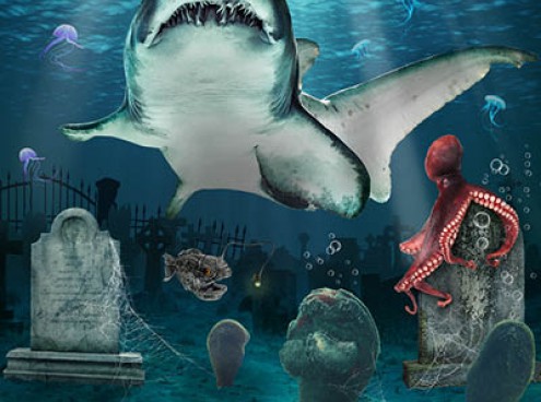 Un Acquario da Paura