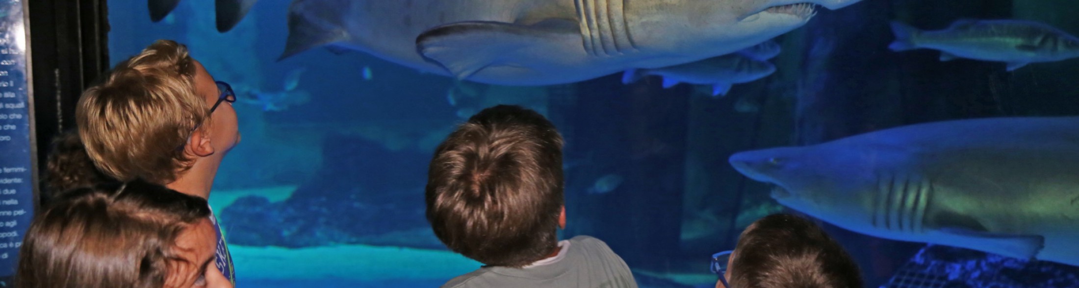 I Parchi CE in festa con lo IOR domenica 16/9/2018