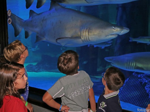 I Parchi CE in festa con lo IOR domenica 16/9/2018