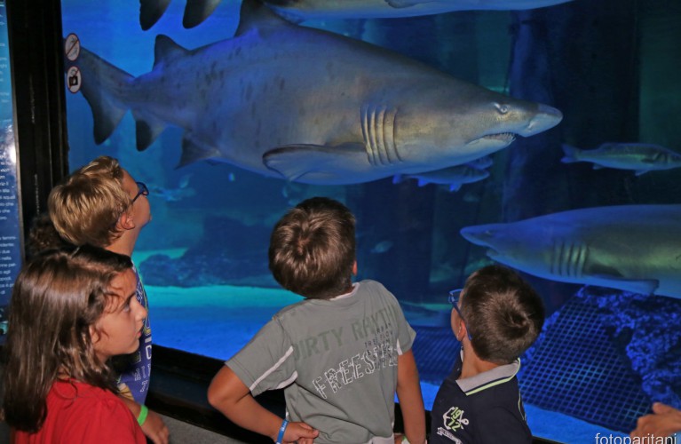 I Parchi CE in festa con lo IOR domenica 16/9/2018