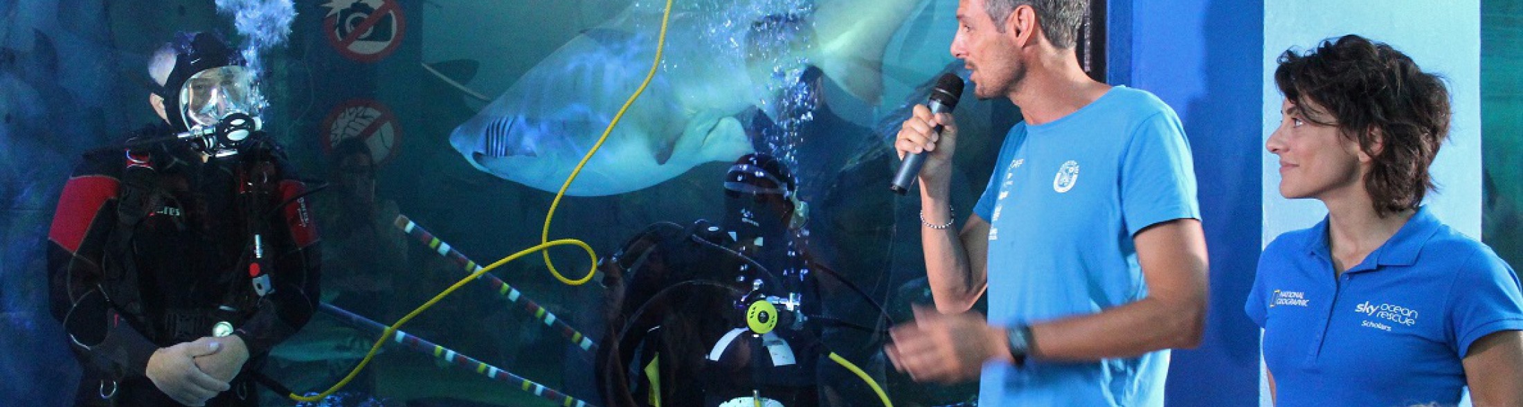 Per un mare senza plastica: la biologa Martina Capriotti colloquia con un... sub in vasca squali