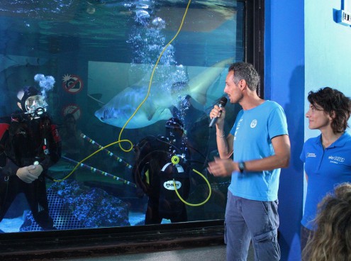 Per un mare senza plastica: la biologa Martina Capriotti colloquia con un... sub in vasca squali
