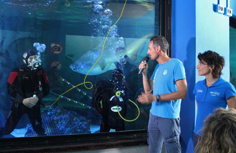 Per un mare senza plastica: la biologa Martina Capriotti colloquia con un... sub in vasca squali