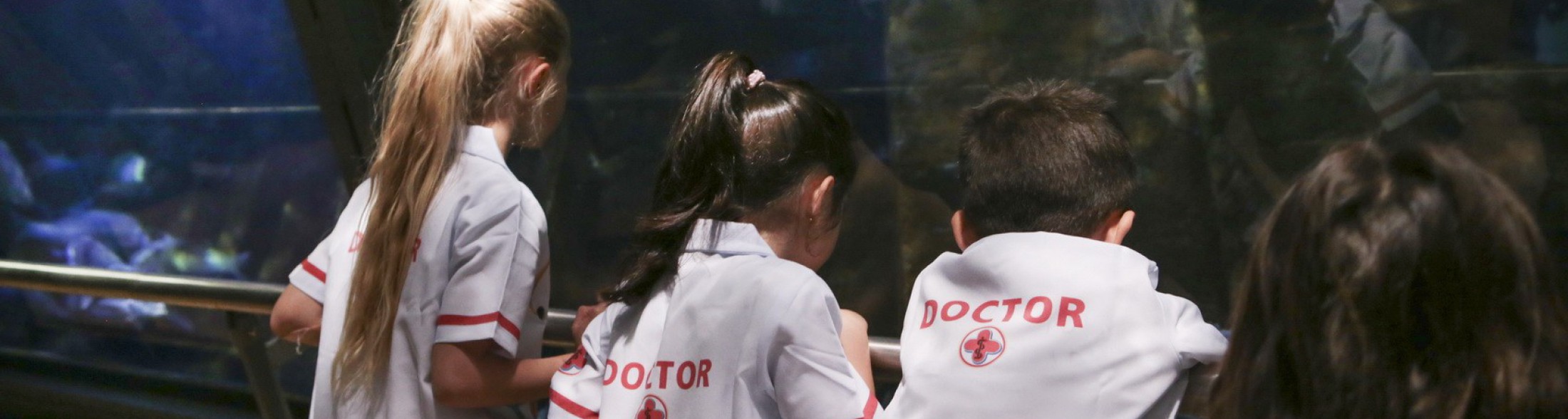 Piccolo Veterinario: l'appuntamento per i piccolissimi