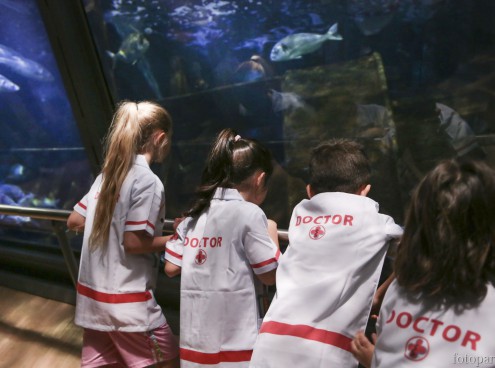 Piccolo Veterinario: l'appuntamento per i piccolissimi