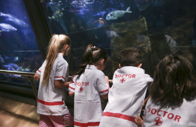 Piccolo Veterinario: l'appuntamento per i piccolissimi