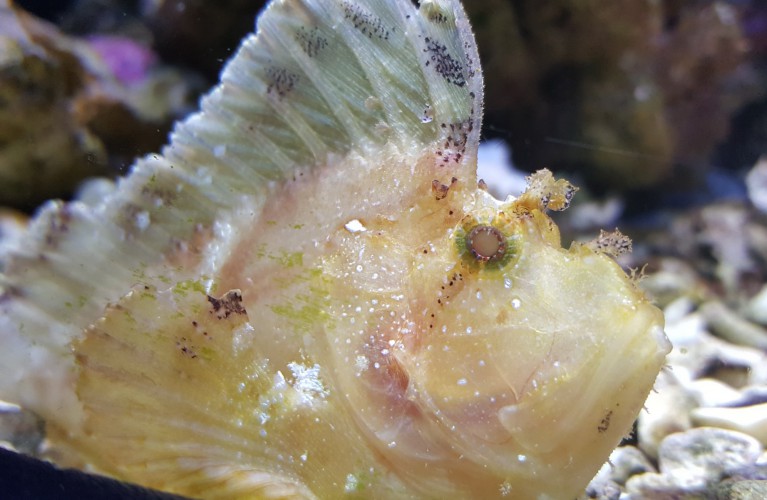 Pasqua all'Acquario!