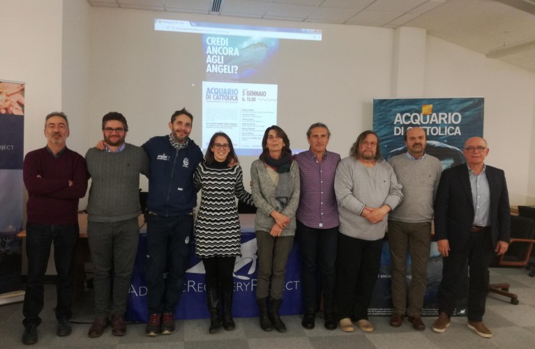 All’Acquario di Cattolica si fa il punto sulle condizioni dell’Adriatico