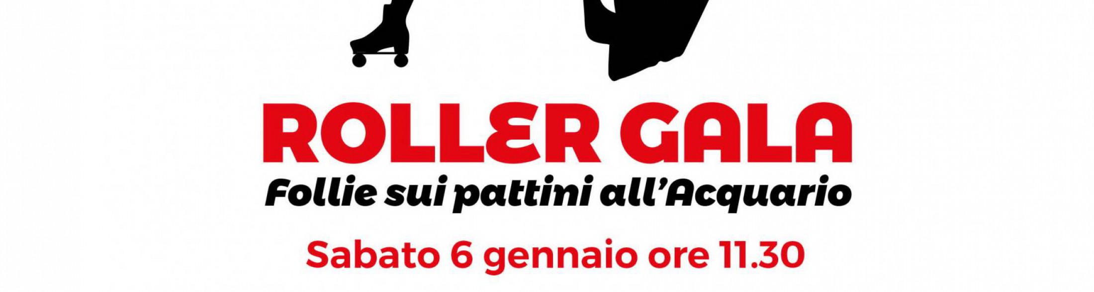 Roller Gala - Follie sui Pattini  6 gennaio 2018