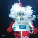 Ponte dell'Immacolata in festa all'Acquario di Cattolica