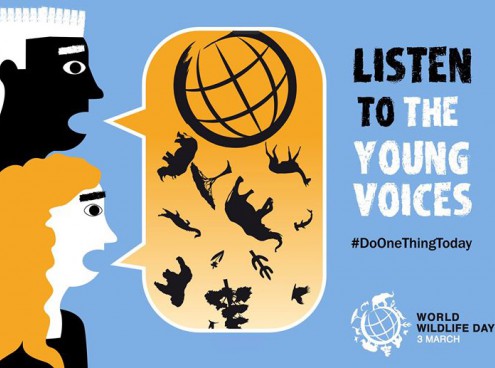 Oggi l'Acquario di Cattolica celebra il World Wildlife Day