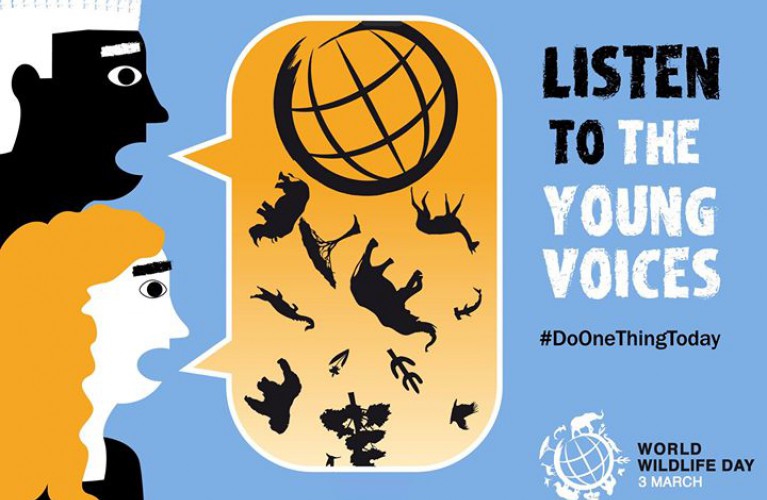 Oggi l'Acquario di Cattolica celebra il World Wildlife Day