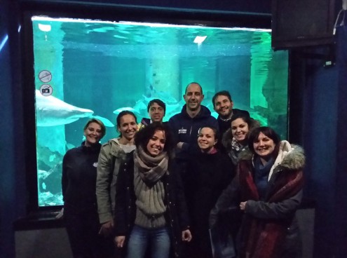 Sette mesi all'Acquario e a Oltremare per imparare ad accudire gli animali