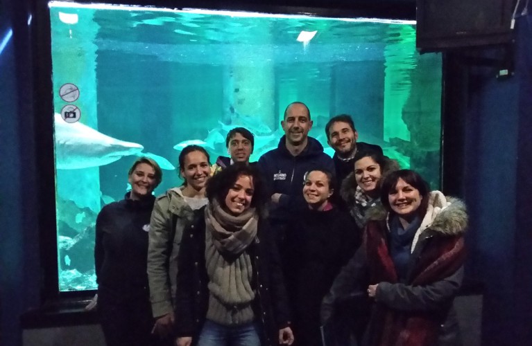 Sette mesi all'Acquario e a Oltremare per imparare ad accudire gli animali