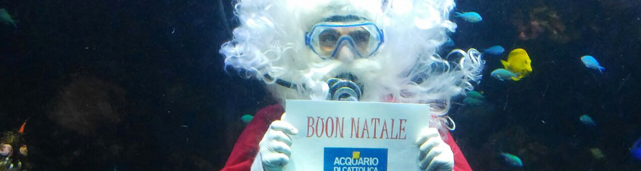 Natale all'Acquario tra presepi sott'acqua e tante altre sorprese!