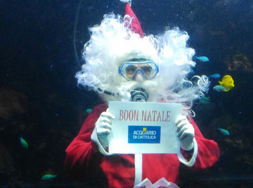 Natale all'Acquario tra presepi sott'acqua e tante altre sorprese!