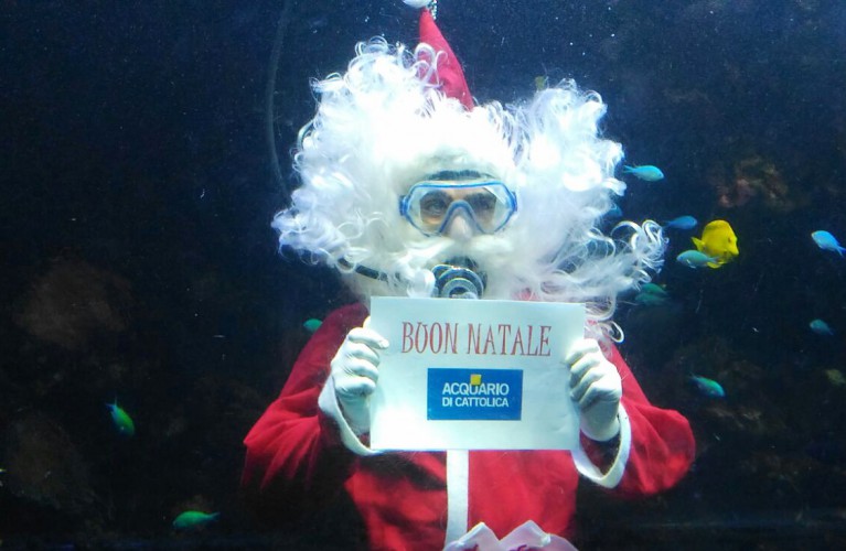 Natale all'Acquario tra presepi sott'acqua e tante altre sorprese!