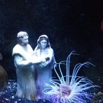 Natale all'Acquario tra presepi sott'acqua e tante altre sorprese!