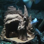 Natale all'Acquario tra presepi sott'acqua e tante altre sorprese!