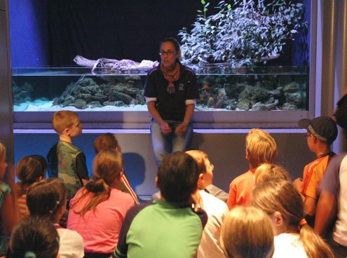 Domenica 25 settembre insegnanti all'Acquario