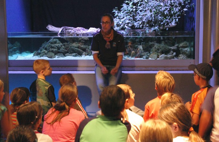 Domenica 25 settembre insegnanti all'Acquario