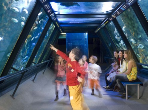 Agosto superstar per famiglie e bambini nei Parchi Costa della Romagna