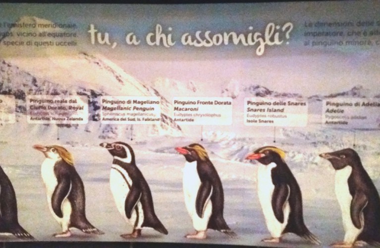 Sulle orme dei Pinguini Imperatore - Novità 2016