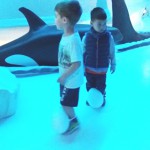 Sulle orme dei Pinguini Imperatore - Novità 2016