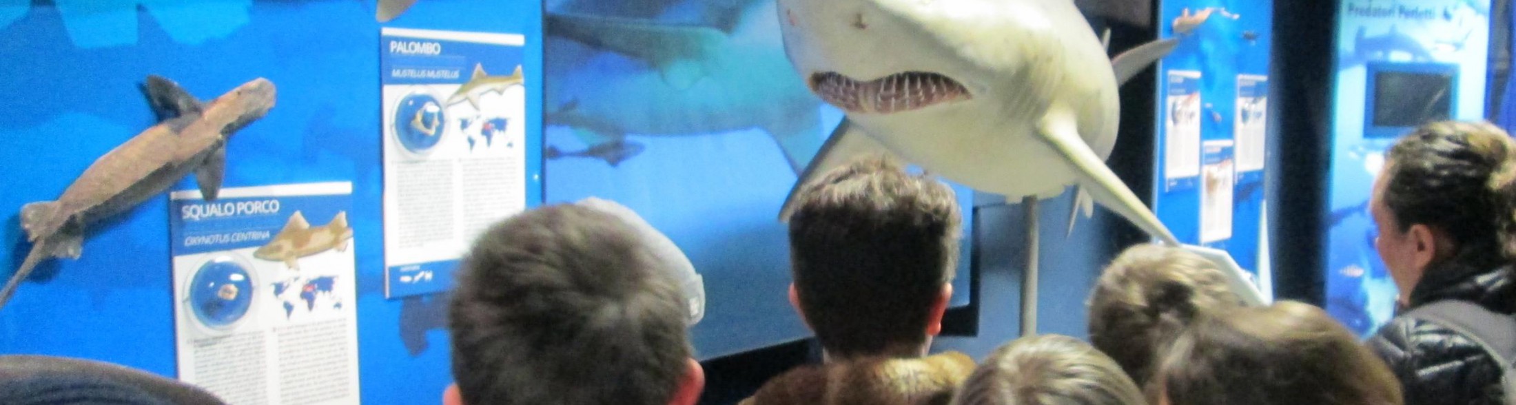 Forti emozioni all' Acquario di Cattolica
