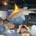 Forti emozioni all' Acquario di Cattolica