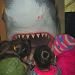 Forti emozioni all' Acquario di Cattolica