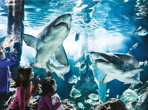 Riaprono i parchi della Riviera Romagnola