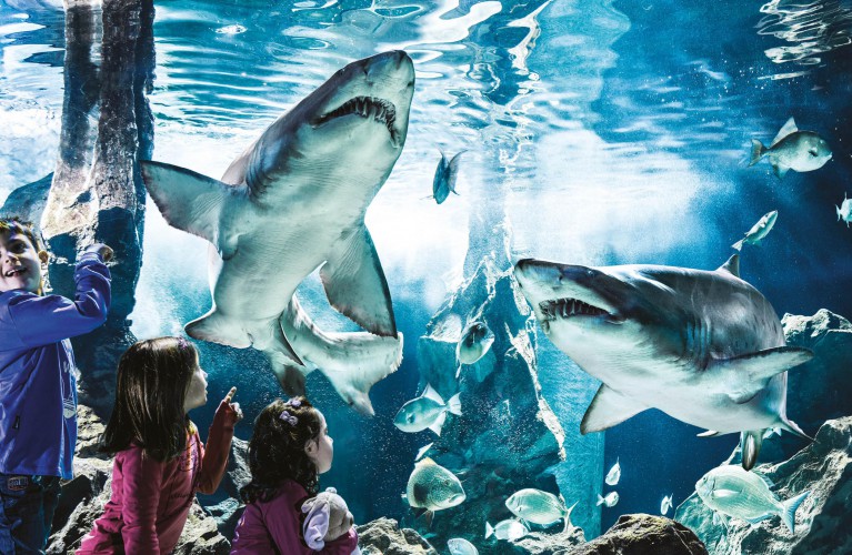 Riaprono i parchi della Riviera Romagnola