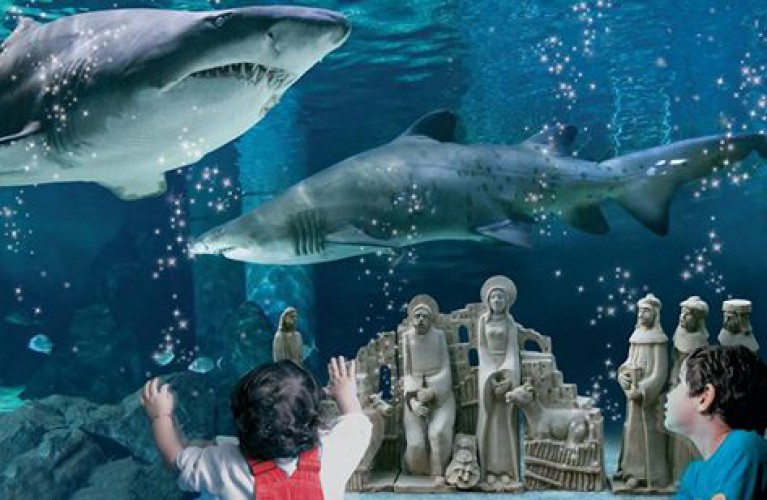 Natale Ecosostenibile