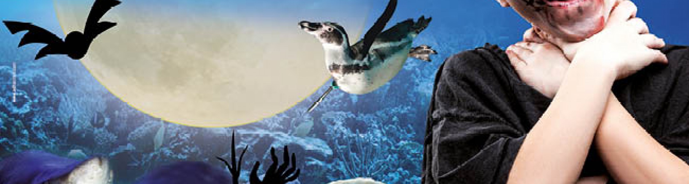 Halloween Parky 2015