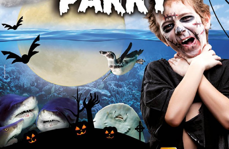 Halloween Parky 2015