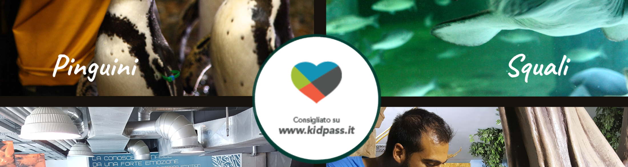 9 e 10 maggio: Kid Pass Days all'Acquario di Cattolica