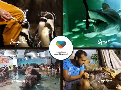 9 e 10 maggio: Kid Pass Days all'Acquario di Cattolica