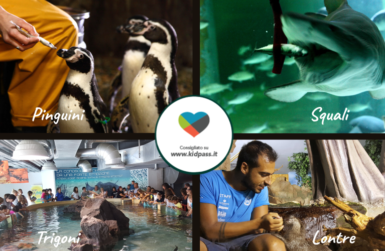 9 e 10 maggio: Kid Pass Days all'Acquario di Cattolica