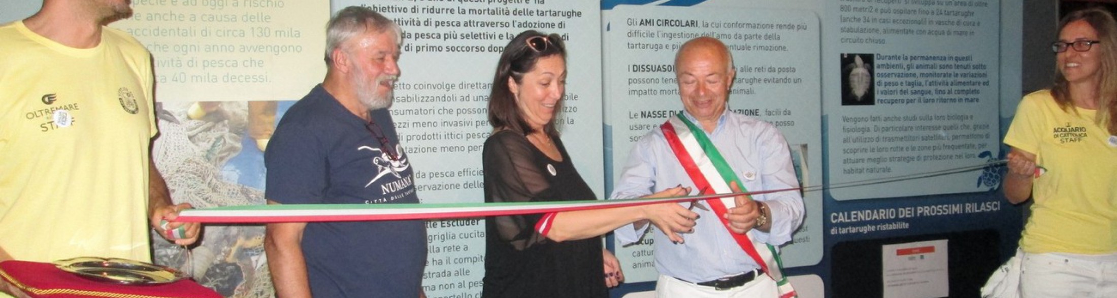 Nasce info point  tartarughe in Adriatico