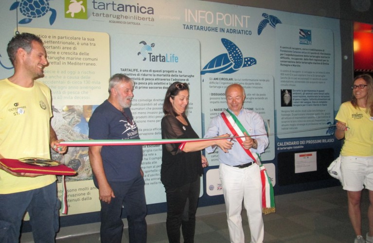 Nasce info point  tartarughe in Adriatico