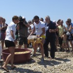 Nasce info point  tartarughe in Adriatico