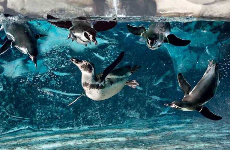 Parte il lungo  ponte del 2 giugno