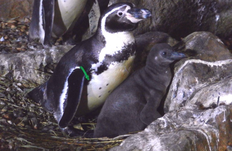Mamma Natura all' Acquario di Cattolica