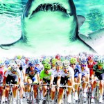 Gran Fondo degli Squali Cattolica -Gabicce  per Squaloanch'io