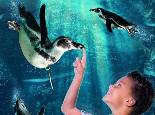 Riaprono i Parchi Costa