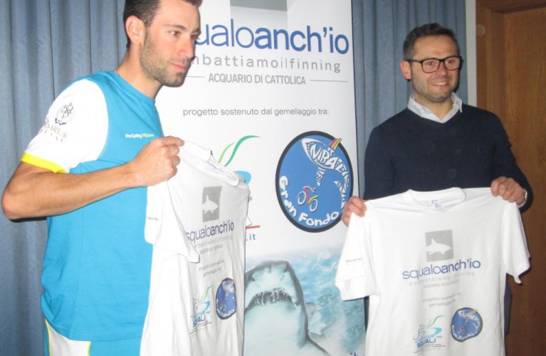 Lo squalo per gli squali : Nibali