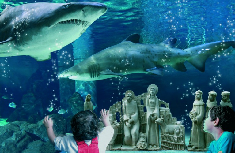 I presepi sott'acqua