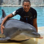 Storioni e Delfini su Linea Blu